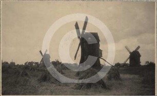 Windmühlen bei Fraustadt