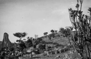Grenzweg (Kamerun-Aufenthalt 1934-1938)