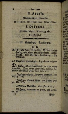 II. Klasse. Zweymännige Diandria. Mit zween unverbundenen Staubfäden.