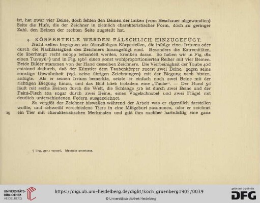 4. Körperteile werden fälschlich hinzugefügt