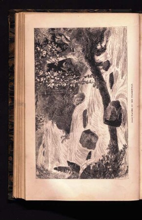 Head-Waters of the Ntambounay.