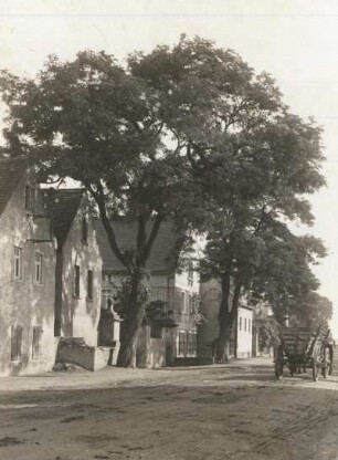 Oschatz. Dreiseithof. Straßenansicht mit Robinien