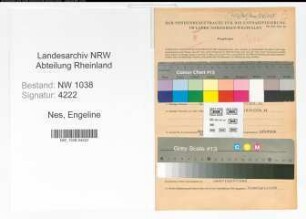 Entnazifizierung Engeline Van Nes , geb. 24.04.1898 (Lehrerin)