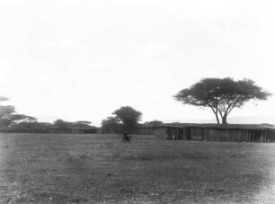 Dorf : Häuser an der Straße von Dodoma nach Iringa