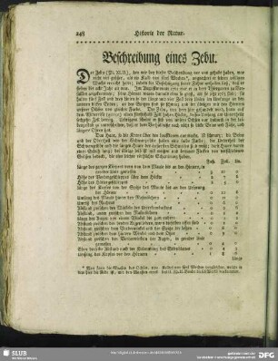 Beschreibung eines Zebu