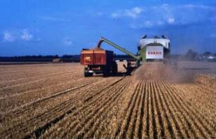 Fotografie: Erntetechnik, Mähdrescher selbstfahrend, Be- und Entladen, Parallelverfahren, Strohhäcksler