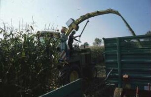 Fotografie: Ernteverfahren, Feldhäcksler selbstfahrend, Maissilage, Parallelverfahren, Ertragsmessung, Feldtest