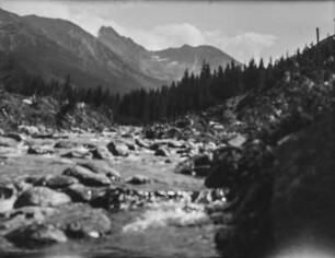 Am Fluss : Blick über einen Fluss auf einen Wald und ein Gebirge im Hintergrund