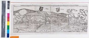 Heidelberg, Stadt und Schloss von Norden (Panorama)