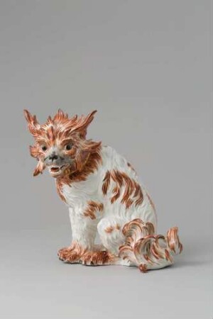 Bologneser Hund