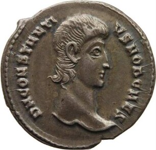 Siliqua