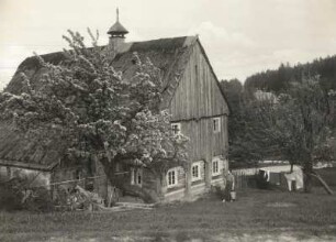 Altes Umgebindehaus : Hain, altes Umgebindehaus mit blühendem Obstbaum