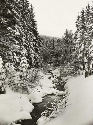 Verschneiter Bach bei Kipsdorf im Osterzgebirge