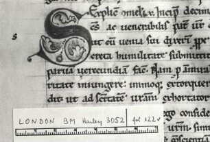 Silhouetteninitiale S, Folio 113 recto