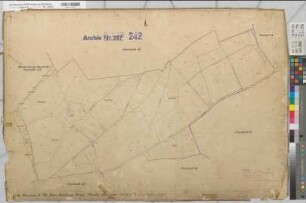 Beckum Ksp. u.Stadt (Beckum), Umlegung Beckum, Urkarte II Beckum, Kspl. Planbl. 46