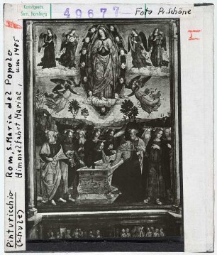 Pinturicchio (Schule): Himmelfahrt Mariä. Rom, Santa Maria del Popolo
