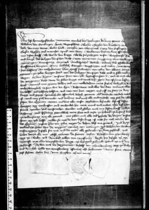 Menloch von Dettlingen d. J. und acht andere bekennen, mit den Städten ausgesöhnt zu sein und geloben, die Richtung zu halten.