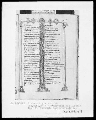 Evangeliar aus Alspach (Elsass) — Capitulare-Seite, Folio 113recto