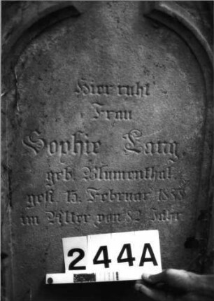 Grabstein 244 (Index: 100085066) Maße HxBxT: 140x56x20 cm Beschreibung: Stele, profiliert. Sockel, Spitzbogenabschluß, Schriftfeld eingetieft m. Maßwerkform: Grabstein 244A