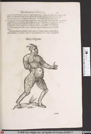 Satyri figura.