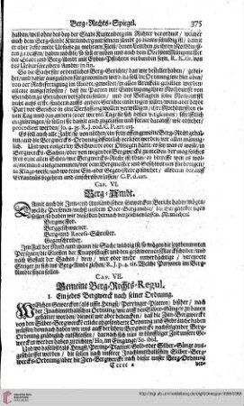 Cap. VII. Gemeine Berg-Rechts-Regul.