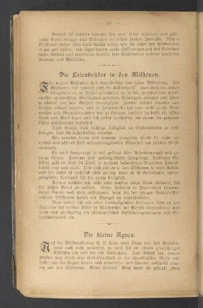 Die Laienbrüder in den Missionen