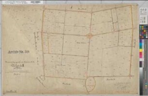 Epe, Gronau (Gronau), Alstätte (Ahaus), Wessum (Heek), Zusammenlegung des Amtsvenns, Bl.13 Urkarte II Epe Flur 29