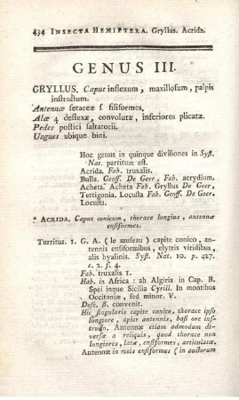 GRYLLUS