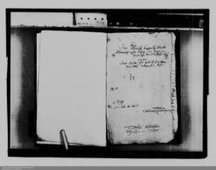 Gräfin Luise Juliane von Sayn-Wittgenstein als Vormund ./. Grafen Ernst und Christian von Sayn-Wittgenstein: Erbfolge