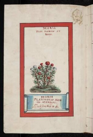Maria Flos Florum et Rosa (Rose)