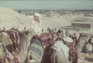 Reisefotos Ägypten. Kamelführer