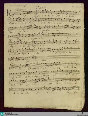 Masses - Don Mus.Ms. 1313 : V (4), orch, org; C