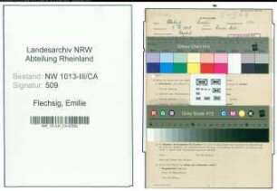 Entnazifizierung Emilie Flechsig , geb. 07.10.1898 (Bueroangestellte)