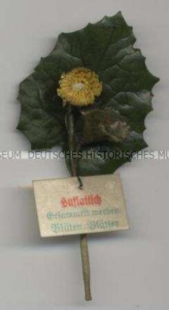 WHW-Abzeichen, Heilpflanzen: Huflattich, 7. Reichsstraßensammlung vom 29./30. März 1941