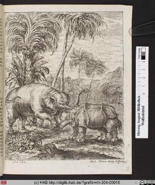[Elefant und Nashorn].