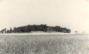 Hügellandschaft bei Luga : Pahórčina pola Łuha
