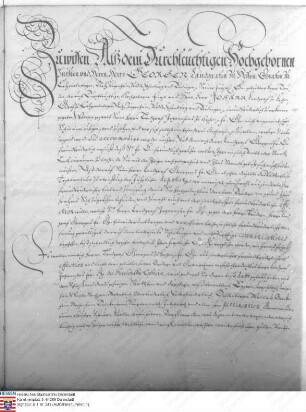 Vertrag zwischen den Landgrafen-Brüdern Georg II. von Hessen-Darmstadt und Johann über die Überlassung der Herrschaft Eppstein an Landgraf Johann ...
