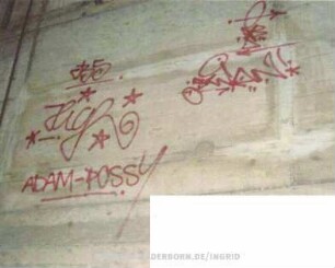 cBS *High ADAM-POSSY SWAN! "cXB"
