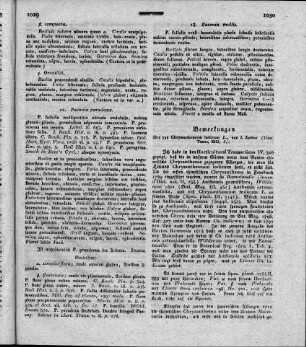 Bemerkungen über das Chrysantehmum indicum L. (Linn. Trans. XIII, 2.)