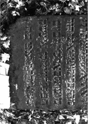 Grabstein 771 (Detailaufnahme 1)