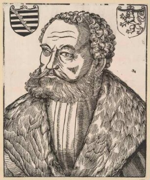 Bildnis Johann I. (der Beständige), Kurfpürst von Sachsen (?)