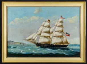 Brigg DELPHIN