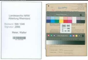 Entnazifizierung Walter Meier , geb. 06.02.1899 (Lehrer)