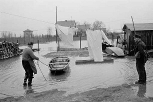 Hochwasser am Rhein mit einem Höchststand von 7,20 Meter
