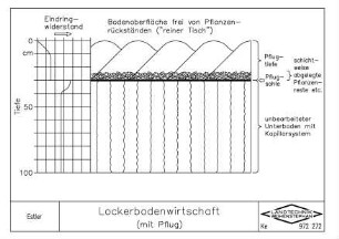 Lockerbodenwirtschaft (mit Pflug)