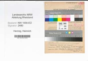 Entnazifizierung Heinrich Herzog, geb. 01.01.1896 (Speditionskaufmann)