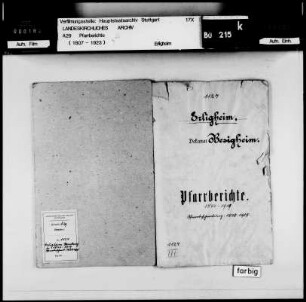 Erlingen: Pfarrberichte und Pfarrbeschreibungen