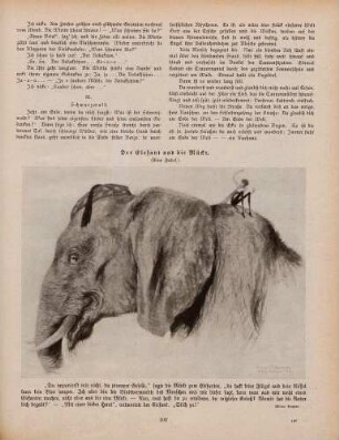 "Der Elefant und die Mücke"
