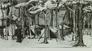 Kinderferienlager Lobbe: Zeltlager im Wald