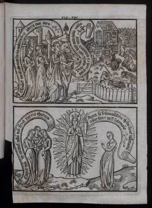 Fig. VIII.
